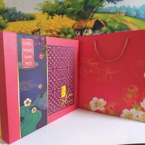 Hộp cứng- túi quà tết