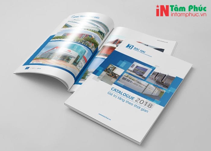 giấy in catalogue