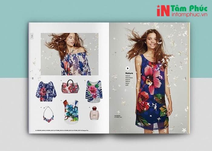 catalogue thời trang