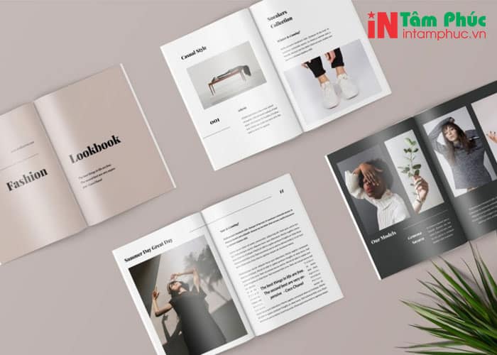 catalogue thời trang