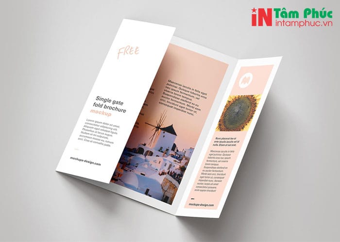 kích thước folder