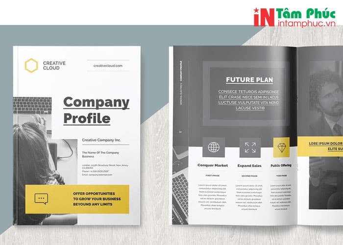 phân biệt profile catalogue và brochure