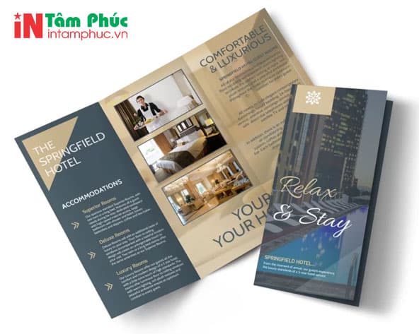 phân biệt profile catalogue và brochure