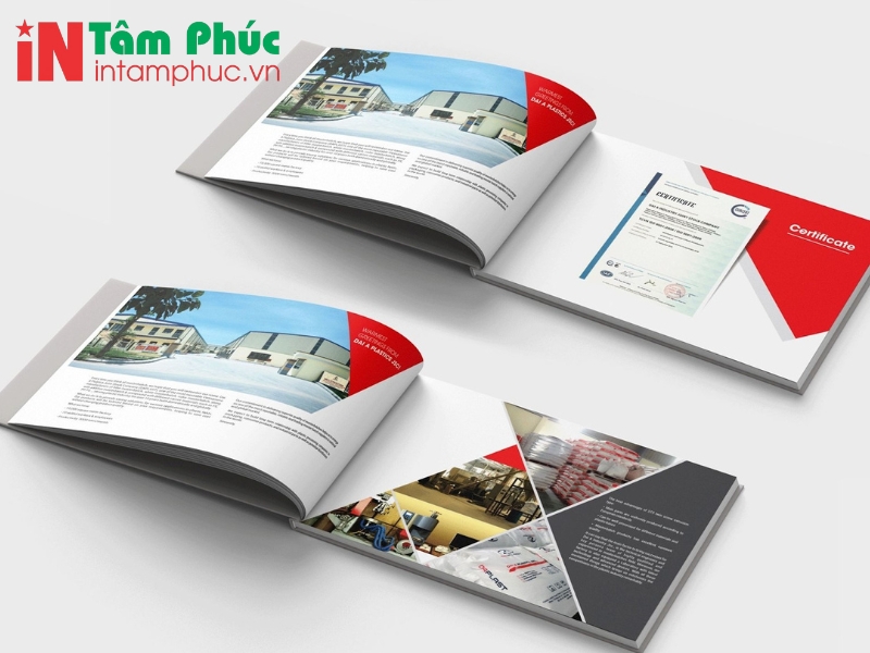 in catalogue nhanh