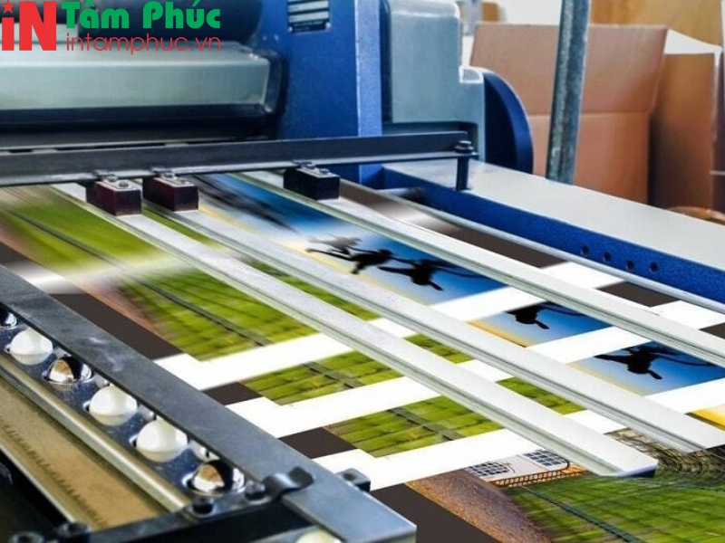 in sách màu bảo vệ môi trường