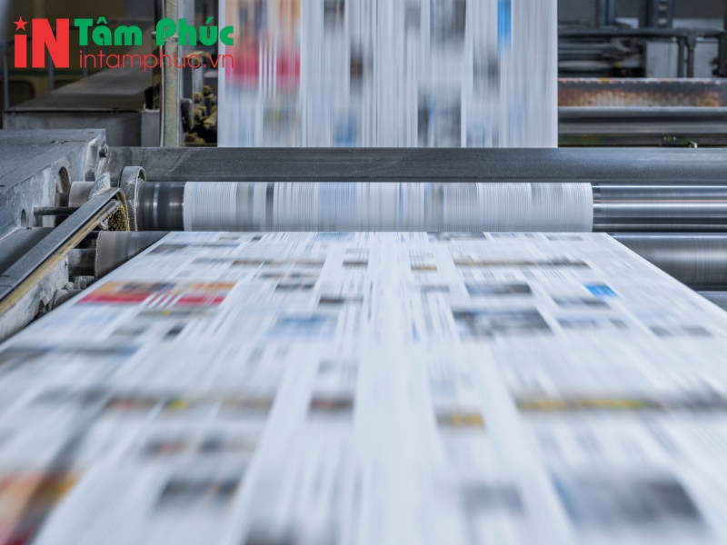 Xu hướng in sách màu năm 2025