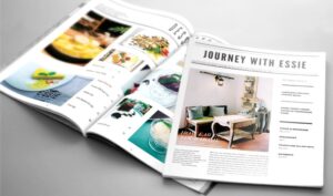 font chữ catalogue đẹp