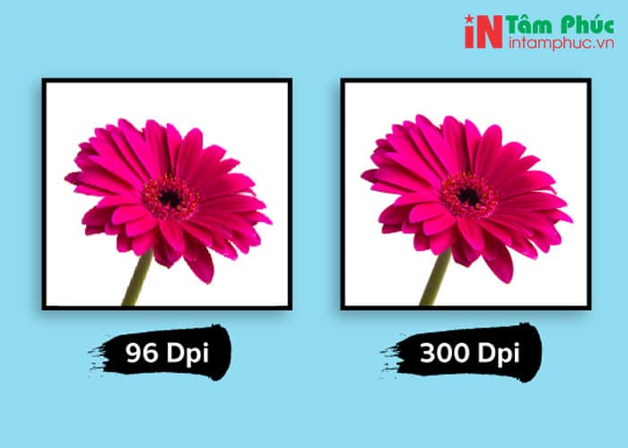 Độ phân giải DPI là gì?