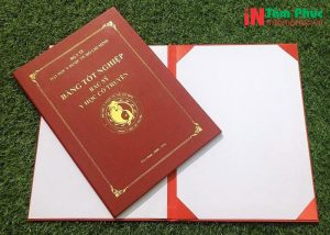 in bia dung bang tot nghiep 4
