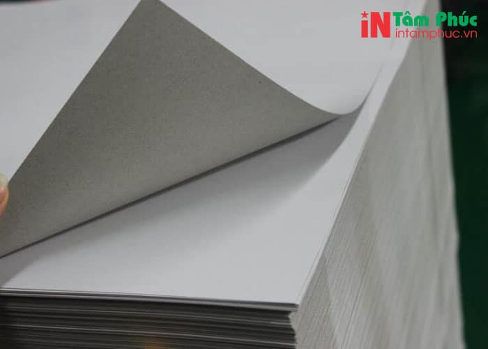 Có 2 loại giấy Duplex: Loại phủ bóng một mặt và loại phủ bóng hai mặt. Có 2 loại giấy Duplex: Loại phủ bóng một mặt và loại phủ bóng hai mặt.