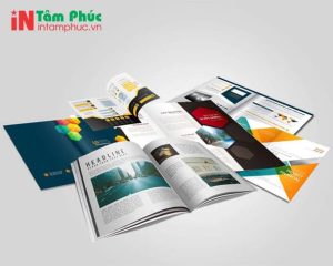 in catalogue 13