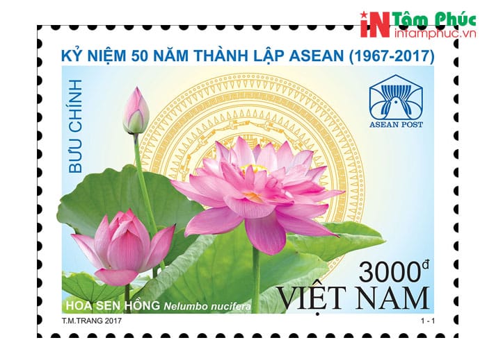 Sưu tập con tem cần lưu ý điều gì?