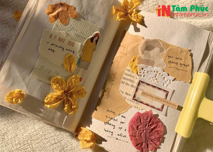 Trang trí sổ vintage bằng hoa khô